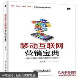 移動(dòng)互聯(lián)網(wǎng)營(yíng)銷寶典 互聯(lián)網(wǎng)銷售的策略與實(shí)踐